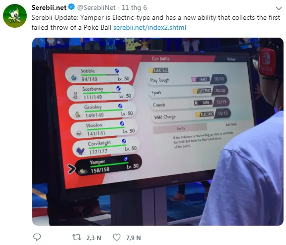 Một chú Corgi đang lắng nghe lệnh từ chủ, minh họa cho việc tập trung trong quá trình huấn luyện.