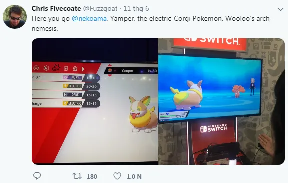 Một chú Corgi đang ngậm đồ chơi, minh họa cho việc cần cung cấp đủ kích thích tinh thần.