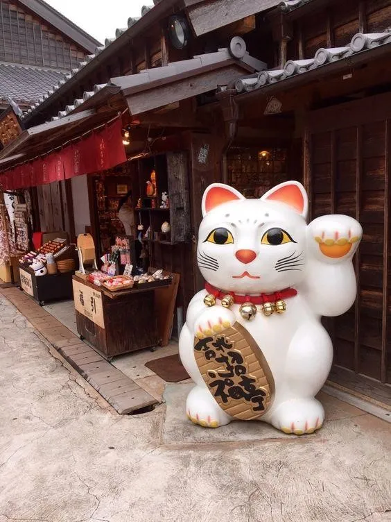 Một chú mèo khác với nhiều chuông gắn vào vòng đeo cổ trên đường phố