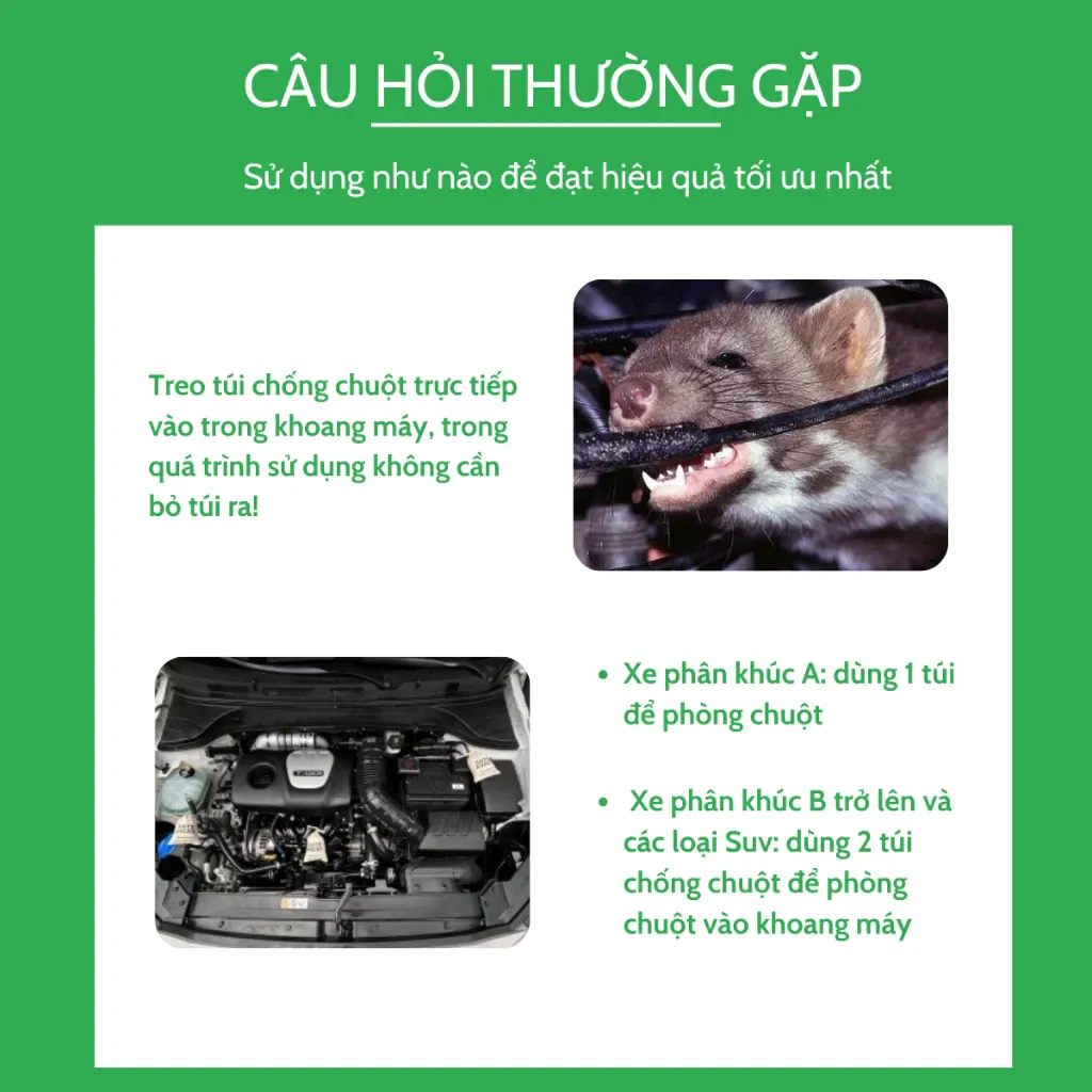 Một hình ảnh minh họa cho các câu hỏi thường gặp, nhấn mạnh sự cần thiết của việc tuân thủ hướng dẫn sử dụng để duy trì hiệu quả chống chuột.