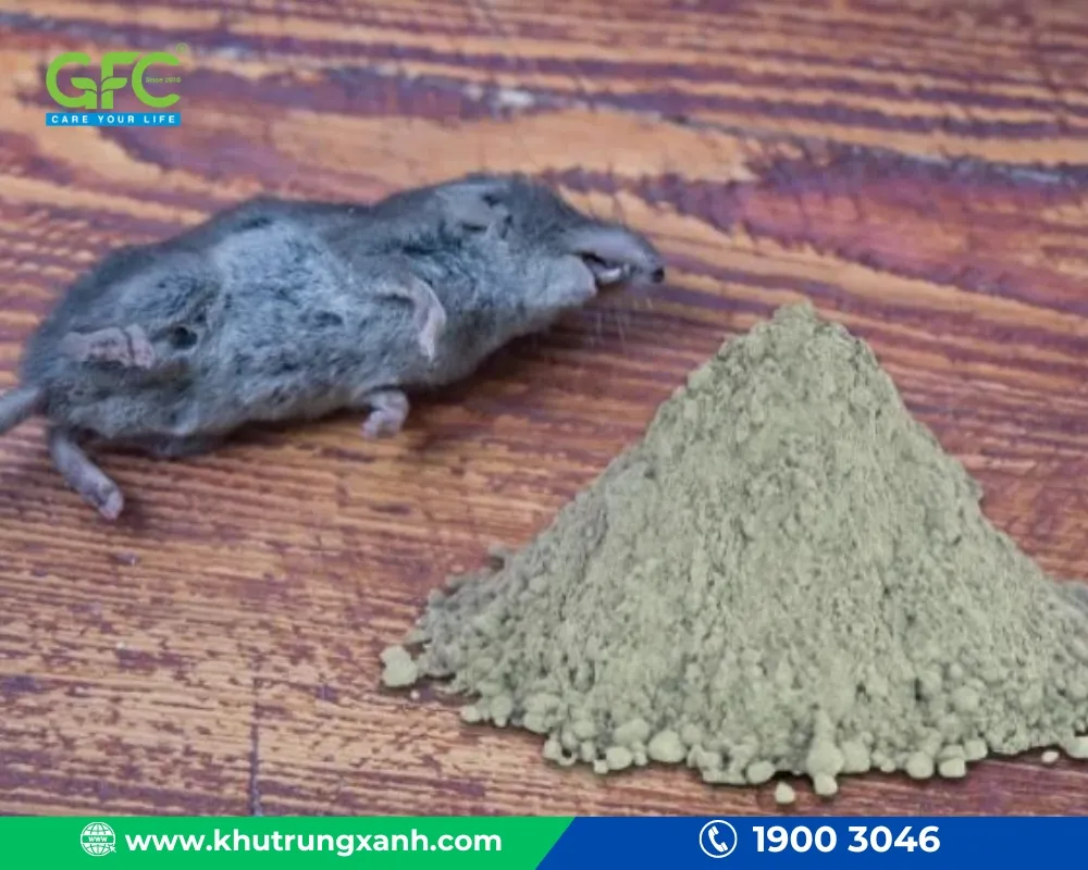 Nên ưu tiên chọn xi măng trắng bởi vì khi trộn cùng bột mì chuột sẽ khó mà phân biệt được