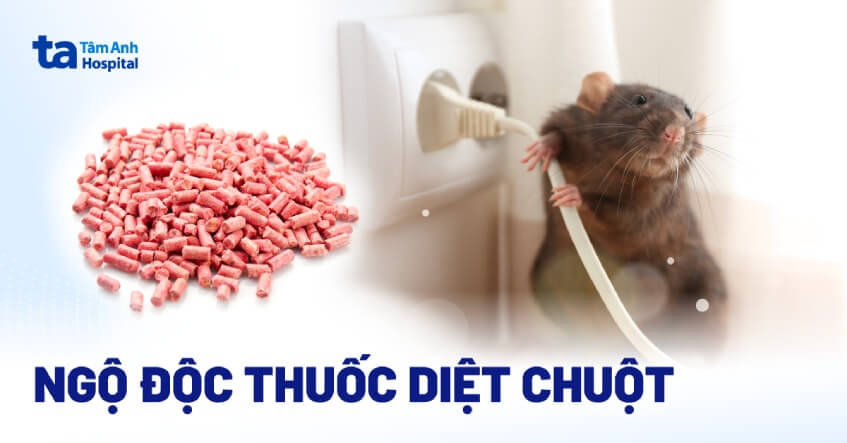 Chuột Tự Chết Trong Nhà: Phân Tích Nguyên Nhân Và Biện Pháp Xử Lý Chuyên Nghiệp