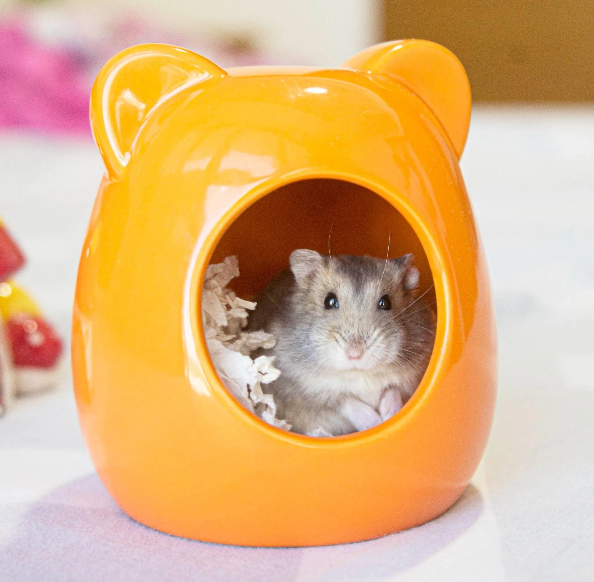 Ngôi nhà ngủ nhỏ xinh và kín đáo trong lồng nuôi chuột Hamster, alt tối ưu nhà ngủ an toàn cho chuột Hamster