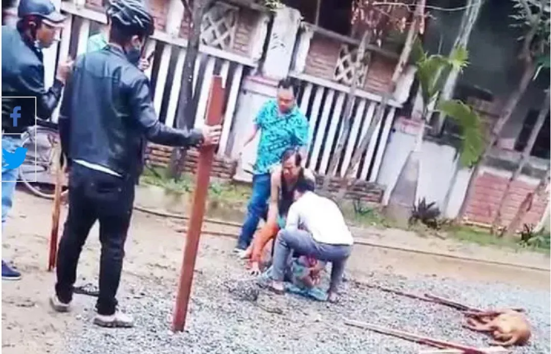 Người dân can thiệp, sử dụng gậy phá khớp để tách chó Pitbull khi nó đang tấn công