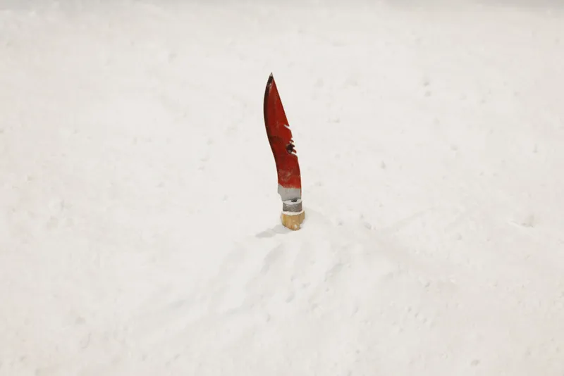 Người Eskimo săn sói bằng dao phủ máu đông