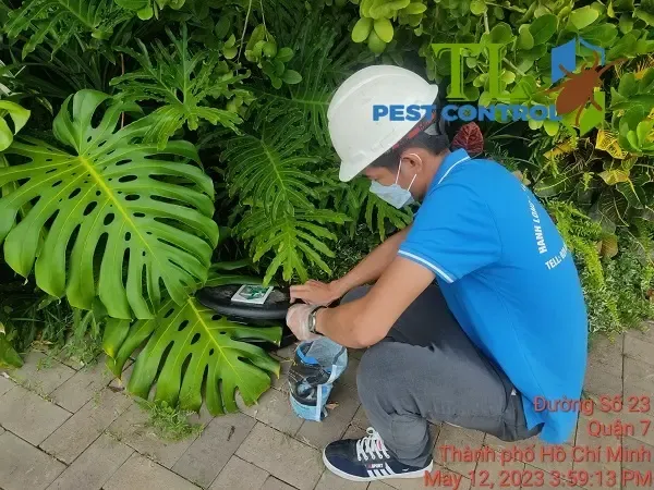 Nhân viên từ Trần Long đang tiến hành lắp đặt bẫy chuột cho khách hàng tại quận 7