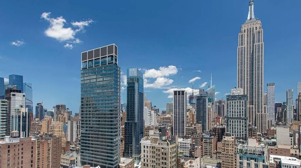 Cách Nuôi Sóc Bay Úc Chuyên Sâu Từ A Đến Z Cho Người Mới Bắt Đầu