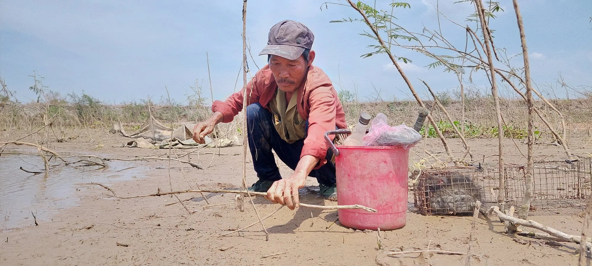 Ông Quang gài bẫy chuột cống nhum con thủ công ven hồ Đá Đen