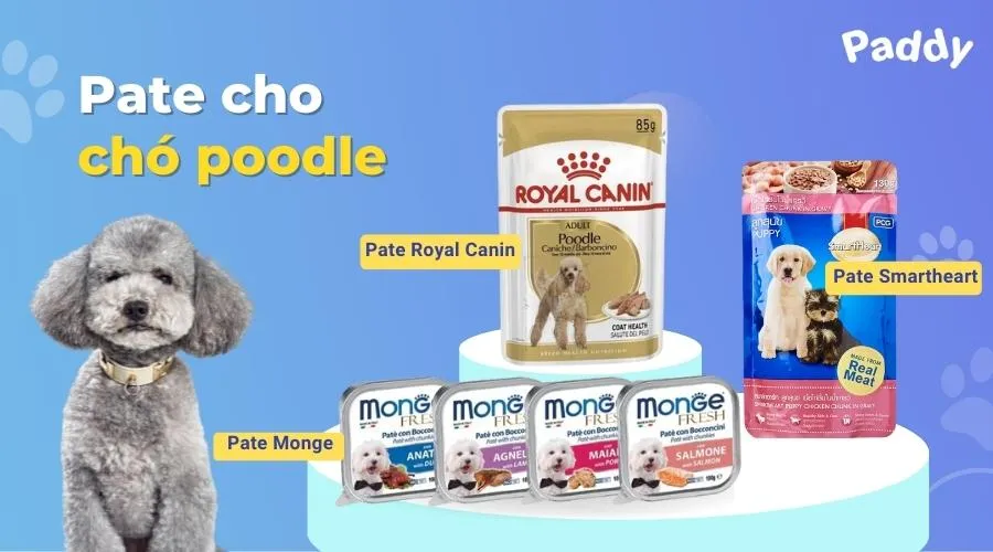 Pate ướt thơm ngon, dễ tiêu hóa cho chó Poodle kén ăn hoặc mới ốm dậy