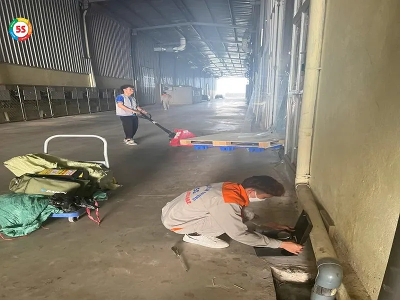 Phân tích các điềm báo và ý nghĩa tâm linh khi chuột chù xuất hiện trong không gian sống