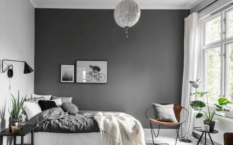 Phân tích định nghĩa và đặc điểm của sơn nhà màu xám lông chuột trong kiến trúc hiện đại