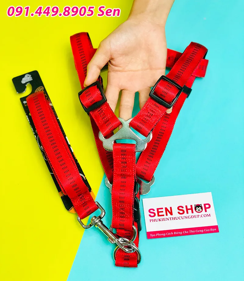 Phụ Kiện Chất Lượng Cao Đi Kèm Khi Lựa Chọn Quần Áo Cho Chó Alaska