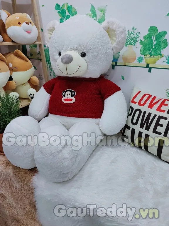 Phụ kiện lồng nuôi cho chuột hamster Vũng Tàu: Bánh xe và ống chui