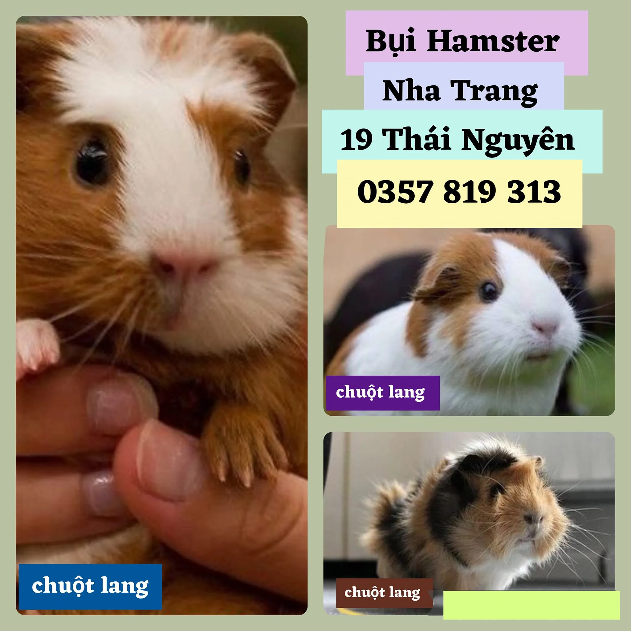 Phụ kiện và thức ăn cho thú cưng tại BỤI Hamster
