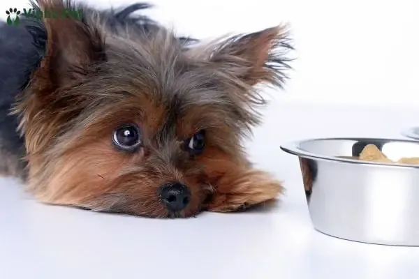 Hướng dẫn quy trình lấy mẫu và sử dụng bộ kit xét nghiệm tại nhà