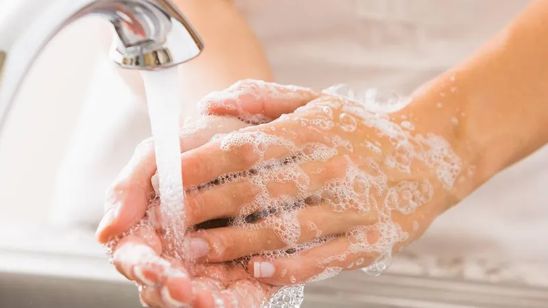 Quy trình sơ cứu vết thương bị hamster cắn bằng cách rửa sạch dưới vòi nước và xà phòng