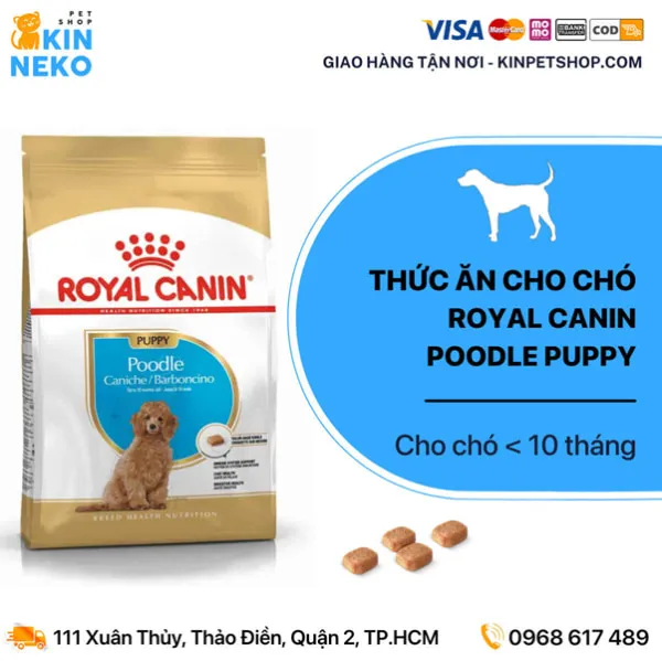 Royal Canin – một loại hạt khô nổi tiếng để cho bạn bổ sung vào đồ ăn cho chó poodle