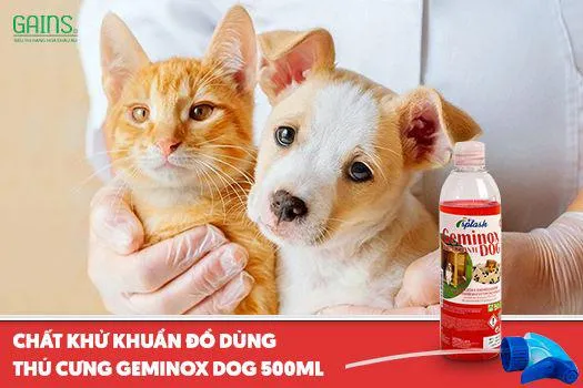 Sản phẩm chuyên dụng hỗ trợ chăm sóc lông và khử mùi hôi cho chó Corgi