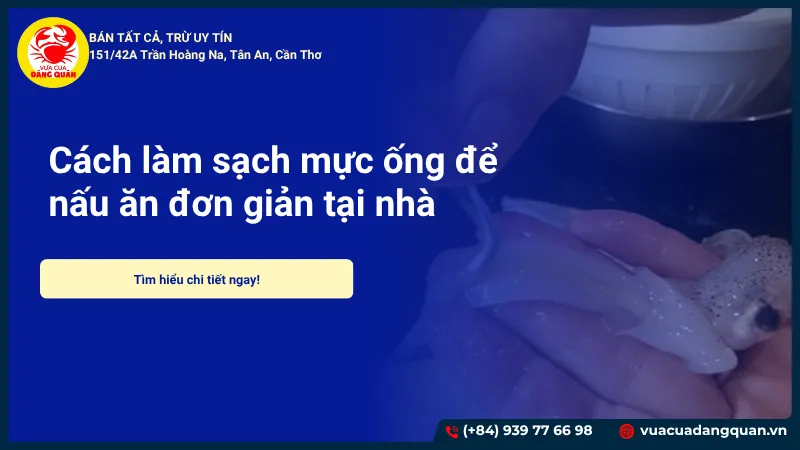 Cách Nuôi Giấm Bằng Rượu Chuyên Nghiệp: Hướng Dẫn Chi Tiết A-Z Tại Nhà