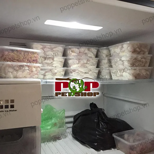 Số lượng lớn cá chuột bạch đông lạnh được bảo quản trong tủ đông chuyên dụng