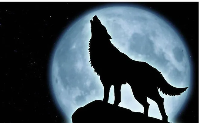 Sói dưới ánh trăng, sự tương phản hoàn hảo cho hiệu ứng ánh sáng trong hoạt hình