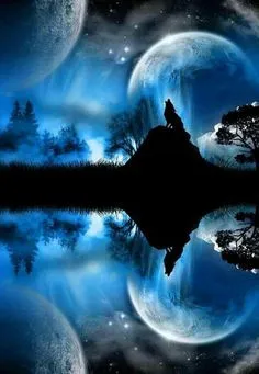 Sói với dáng vẻ ma mị và lạnh lùng, phong cách hoạt hình hiện đại