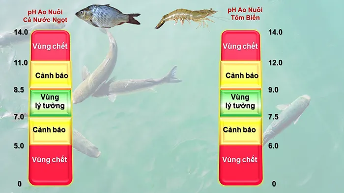 Sử dụng bộ kit để đo độ pH và độ kiềm của nước