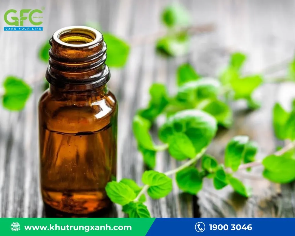 Sử dụng tinh dầu bạc hà, cam quýt để xua đuổi chuột chù trong nhà