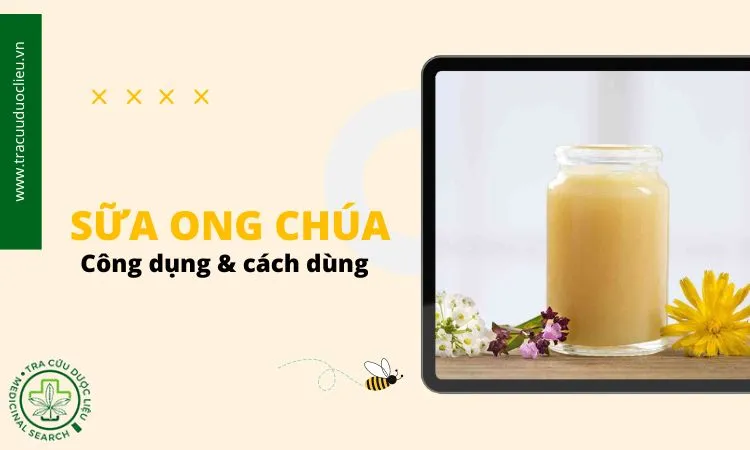 Cách Nuôi Ong Mật Tự Nhiên Hiệu Quả Cho Người Mới Bắt Đầu