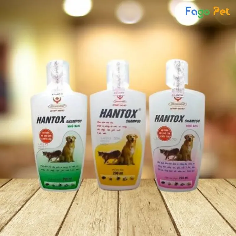 Sữa tắm Hantox là lựa chọn phổ biến để trị ve rận