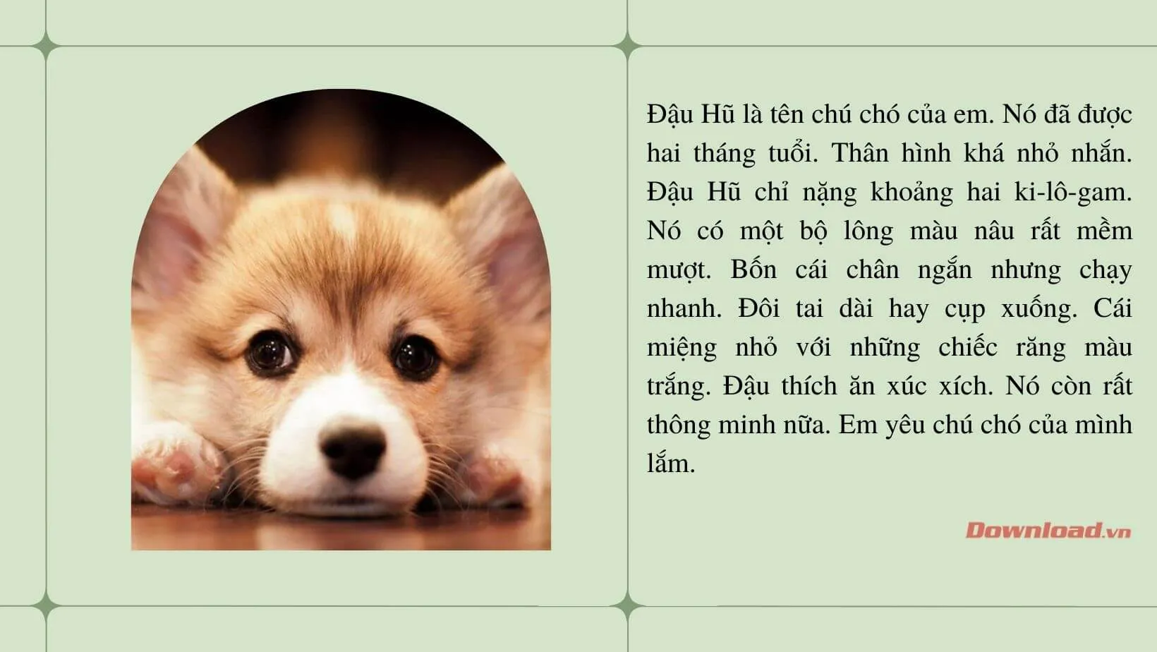 Tả Chú Chó Bông Đáng Yêu