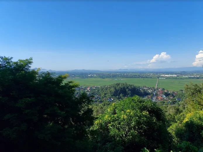 Chào Ngày Mới Của Chuột Hamster: Hướng Dẫn Toàn Diện Về Mang Thai Và Chăm Sóc Sơ Sinh