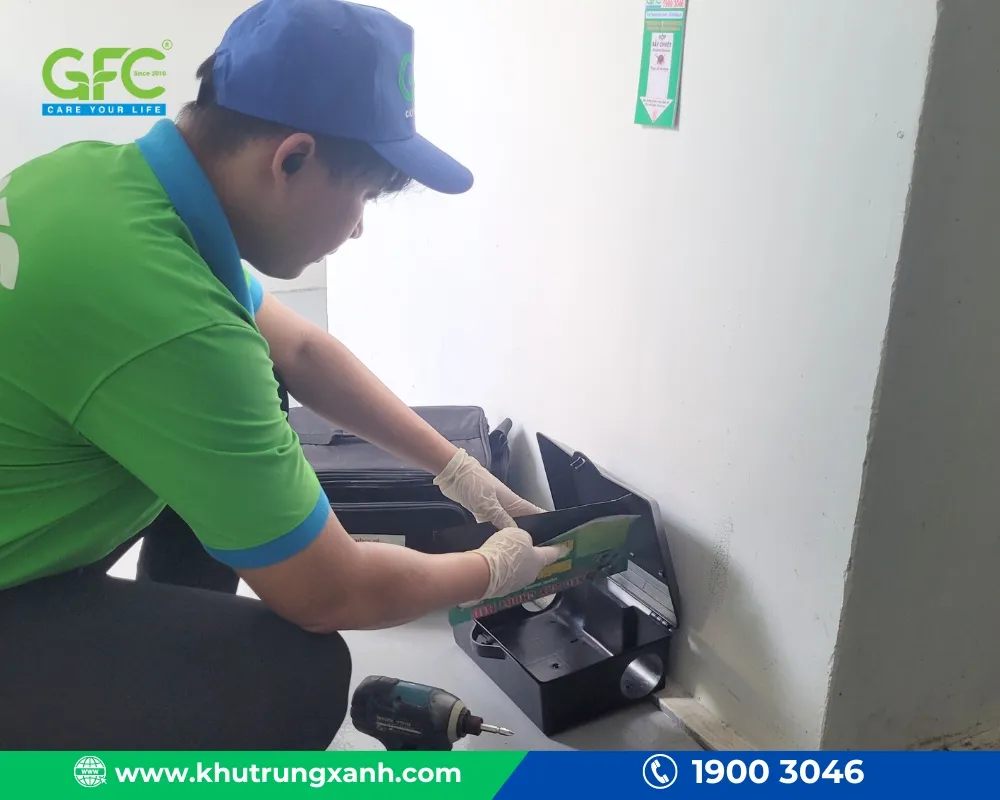 Thay vì tự mình loay hoay với các phương pháp diệt chuột không hiệu quả, bạn có thể tiết kiệm thời gian và công sức bằng cách sử dụng dịch vụ