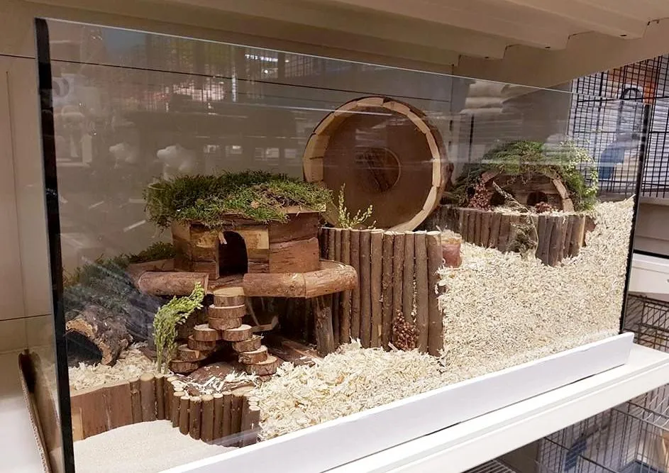 Thiết kế lồng nuôi chuột Hamster bằng kính trong suốt, alt tối ưu lồng kính và mica cho chuột hamster dễ vệ sinh