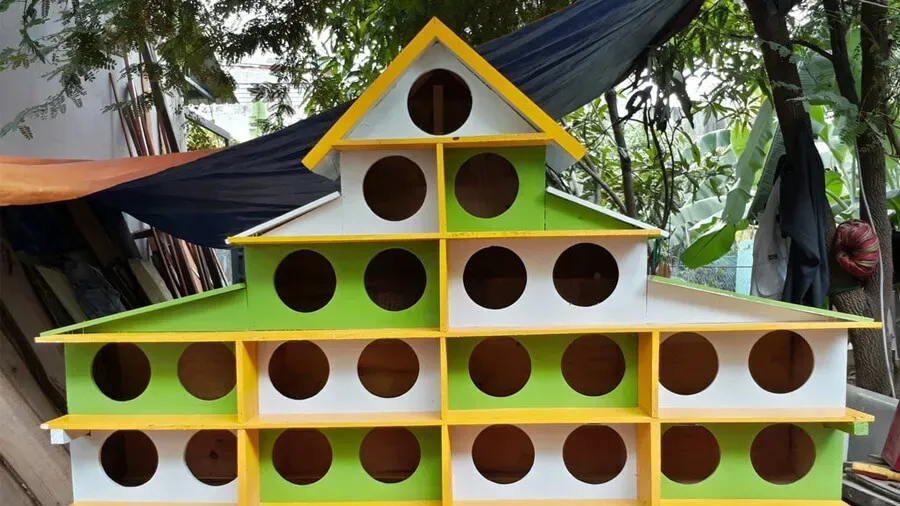 Thiết kế và xây dựng chuồng nuôi chim bồ câu khoa học giúp tối ưu hóa cách nuôi chim bồ câu hiệu quả