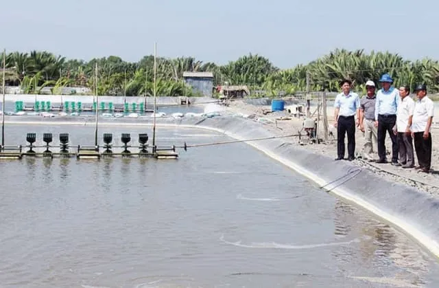 Thiết kế và xây dựng hệ thống lọc, hồ nuôi cá chép nhật Koi đạt tiêu chuẩn