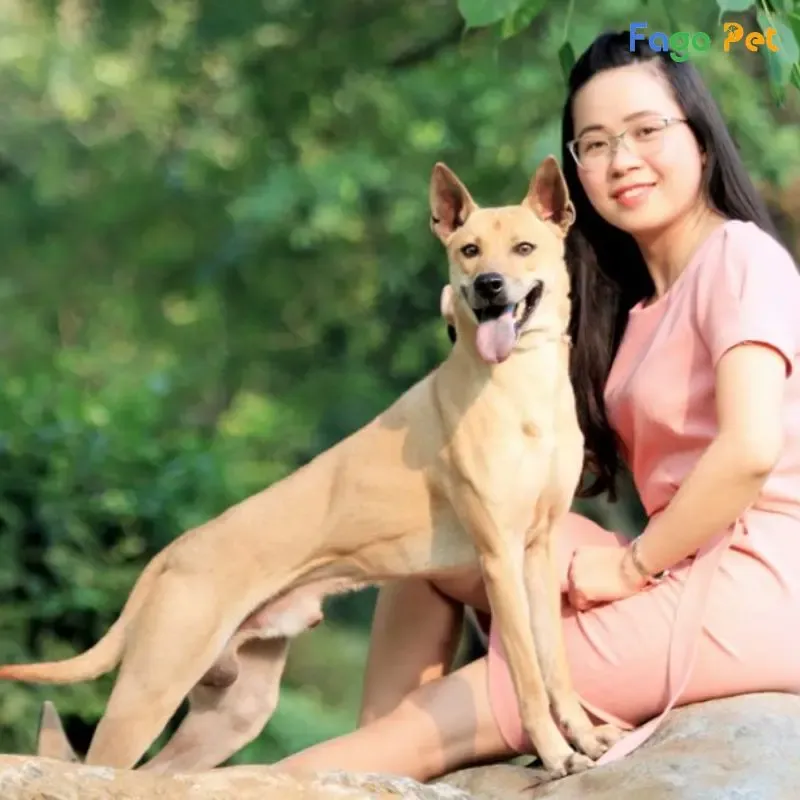 Thiết lập khu vực an toàn bằng chuồng giúp huấn luyện đi vệ sinh dễ dàng hơn