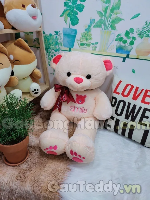 Thiết lập môi trường sống lý tưởng cho chuột hamster Vũng Tàu: Quản lý nhiệt độ và độ ẩm