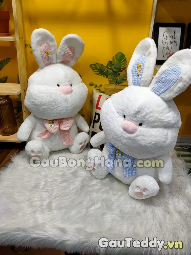 Thỏ Bông Nơ Sọc