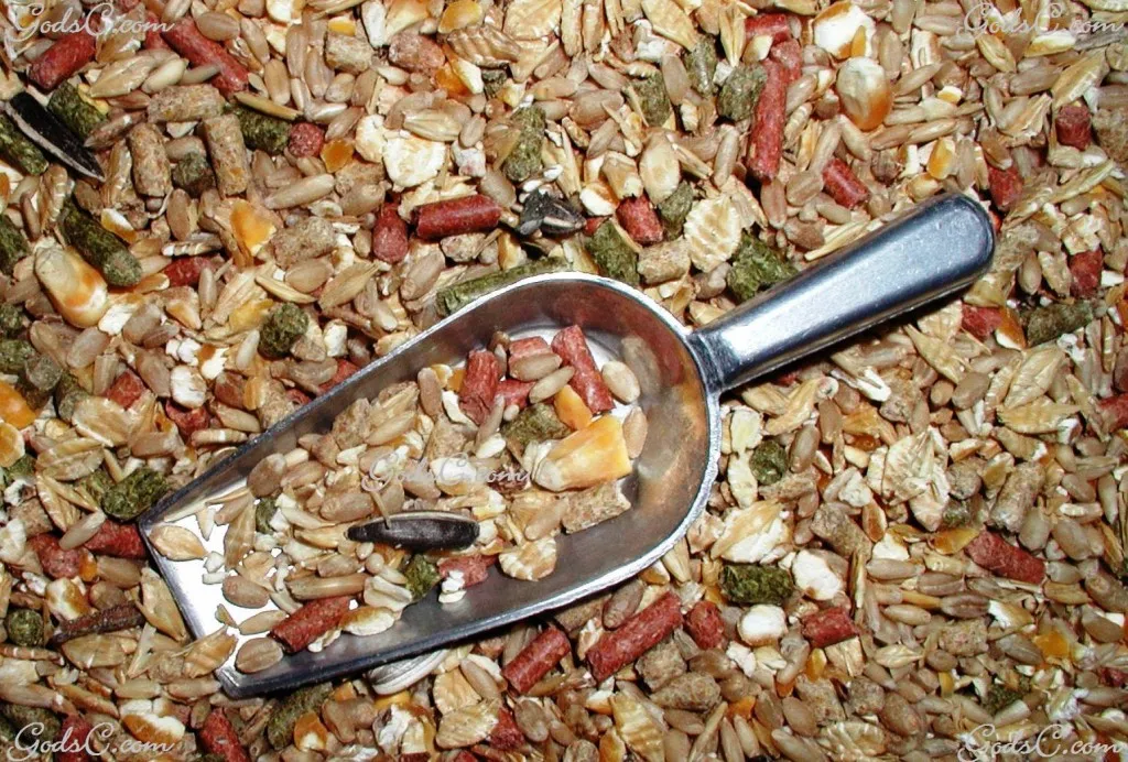 Thức ăn khô dạng hạt hỗn hợp cung cấp dinh dưỡng thiết yếu cho chuột hamster Robo