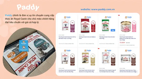 Thức ăn Royal Canin cho mèo được chia thành nhiều dòng phù hợp tuổi tác