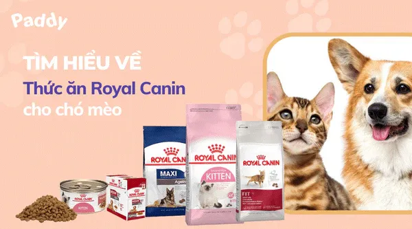 Sản phẩm thức ăn cho chó mèo Royal Canin chất lượng cao tại cửa hàng