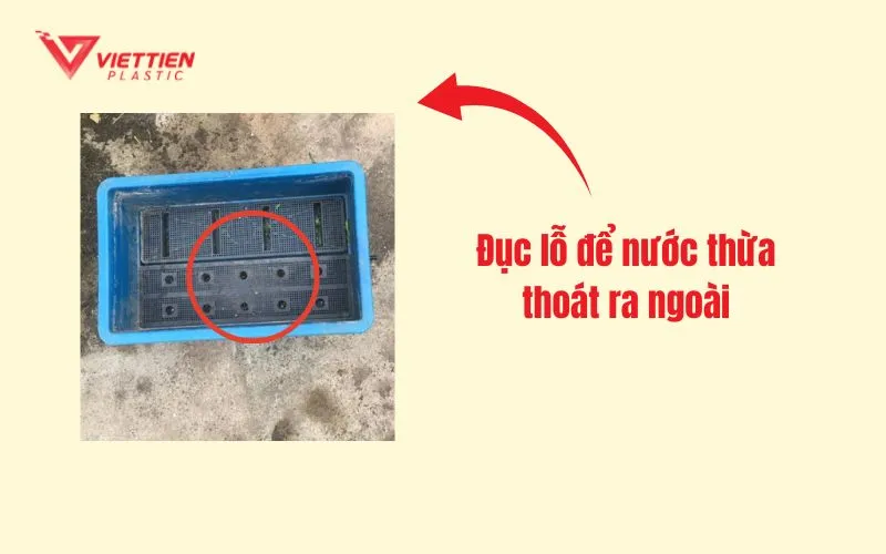 Thùng nhựa nuôi trùn quế có các lỗ thoát nước đã được đục sẵn dưới đáy và xung quanh thân thùng