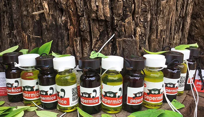 Thuốc đuổi chuột sinh học và hóa học trong chiến lược cách diệt chuột trên trần nhà