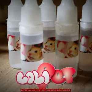 Thuốc nhỏ mắt cho thú cưng, vật tư y tế khẩn cấp khi bán chuột lang