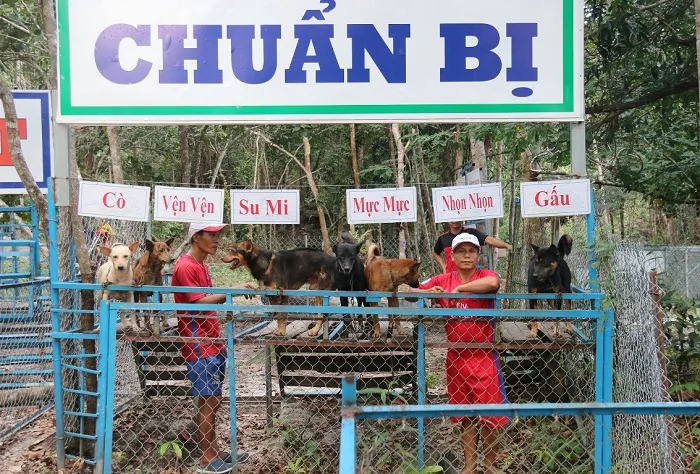 Thường xuyên có những buổi huấn luyện đặc biệt tại trại chó xoáy