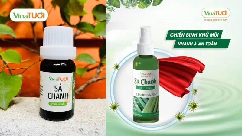 Tinh dầu sả chanh có công dụng đuổi chuột, côn trùng hiệu quả