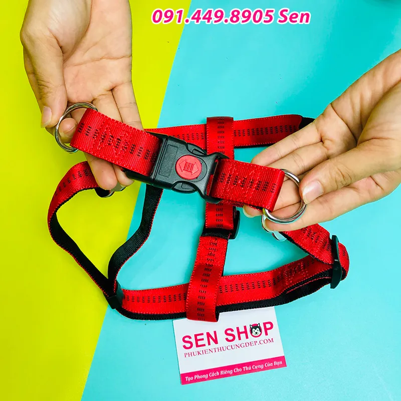 Toàn Bộ Dây Dắt Và Phụ Kiện Chăm Sóc Kích Cỡ Lớn Cho Chó Alaska Mặc Quần Áo