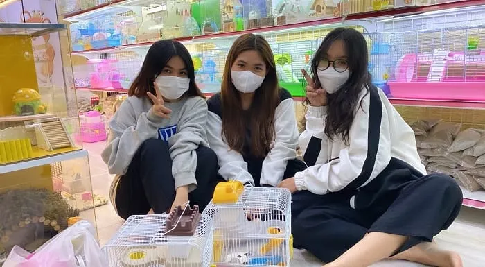 Tổng quan phụ kiện lồng chuồng tại shop bán chuột hamster