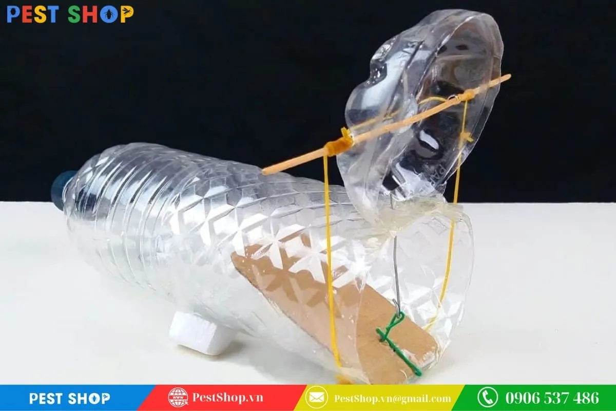 Tự làm bẫy chuột tại nhà bằng chai nhựa tái chế, mô tả cấu trúc lò xo
